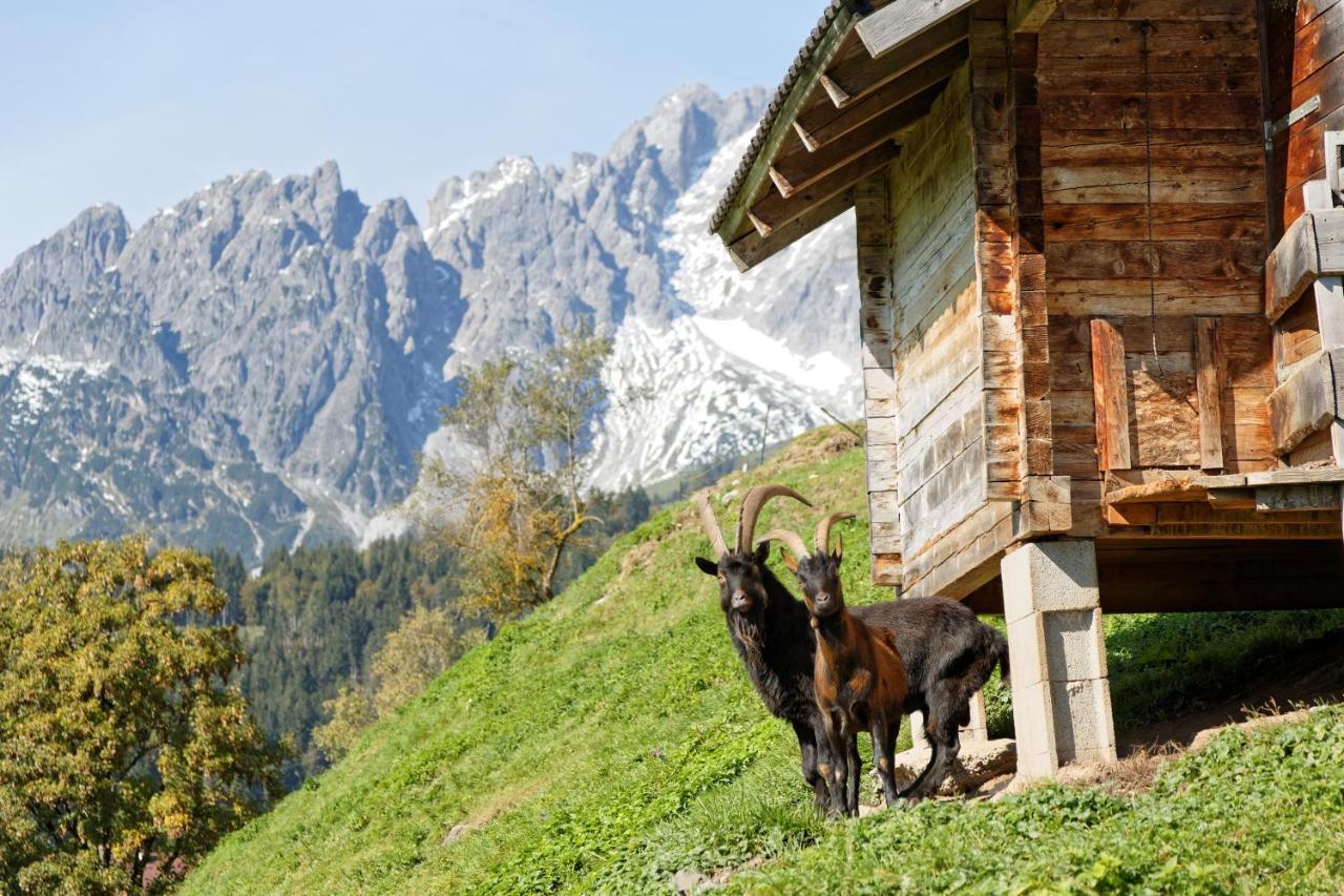 Gut Stein Panoramalodge Mühlbach am Hochkönig Exterior foto